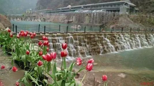 注意！通州2条道路新增交通探头！专拍这些违法行为——