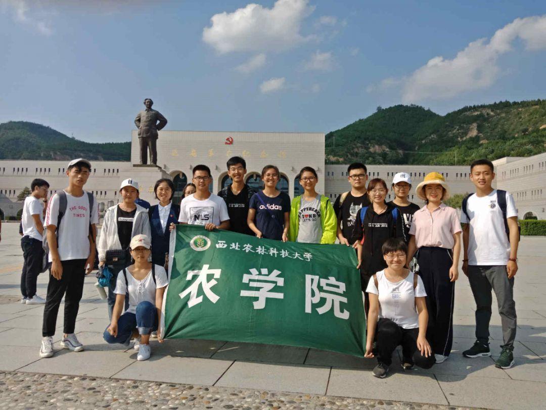 跟不喜的人同居好吗？游戏画面
